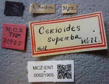 Media type: image;   Entomology 21905 Aspect: labels